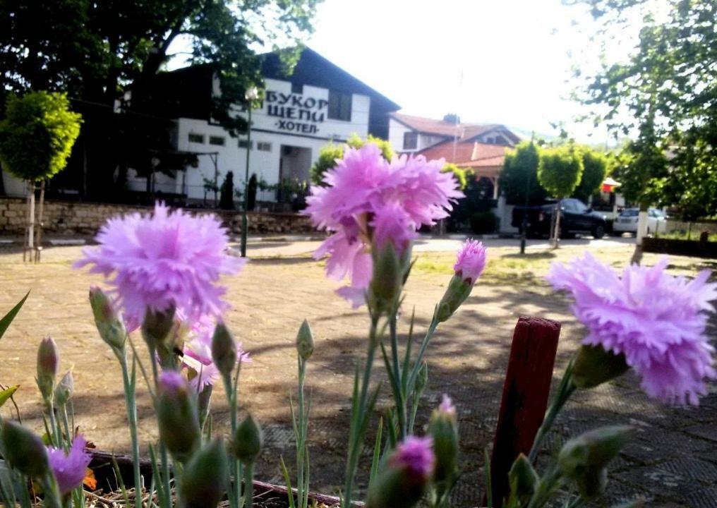 Guest House Bukor Shtepi Mandrica Luaran gambar